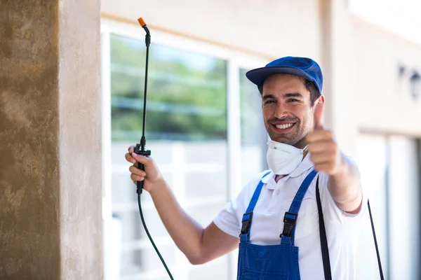 Seal Beach Wasp Removal