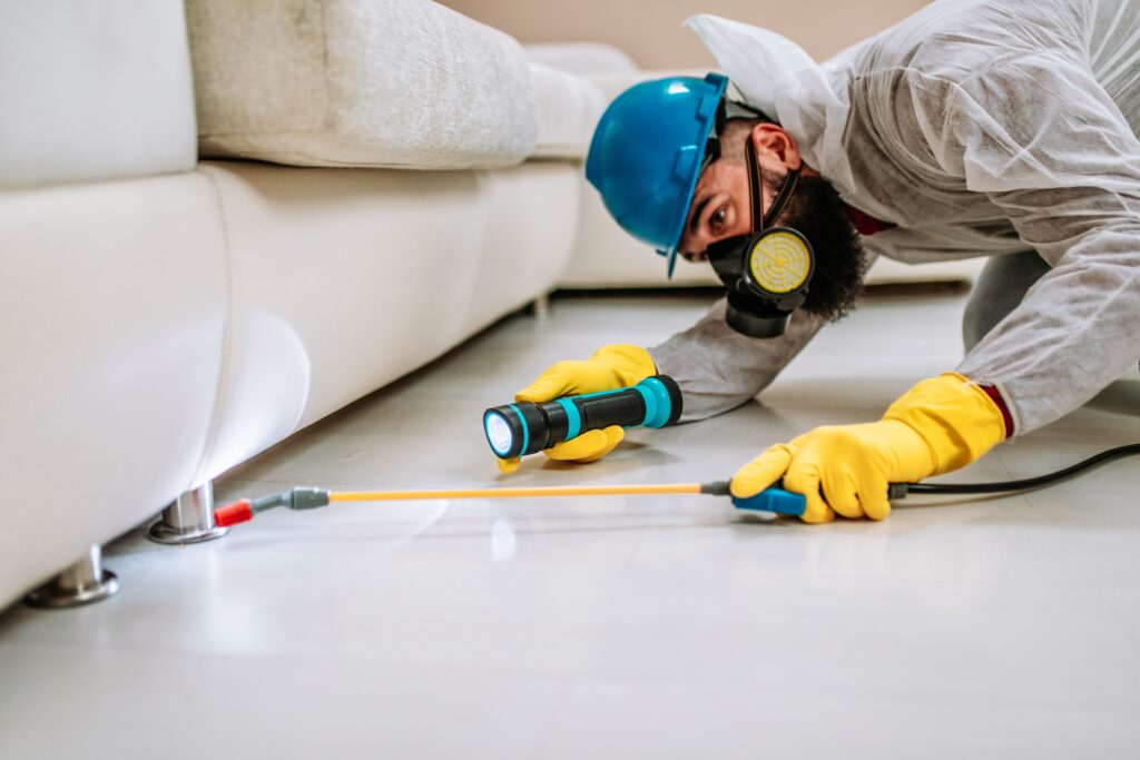 Seal Beach Termite Control