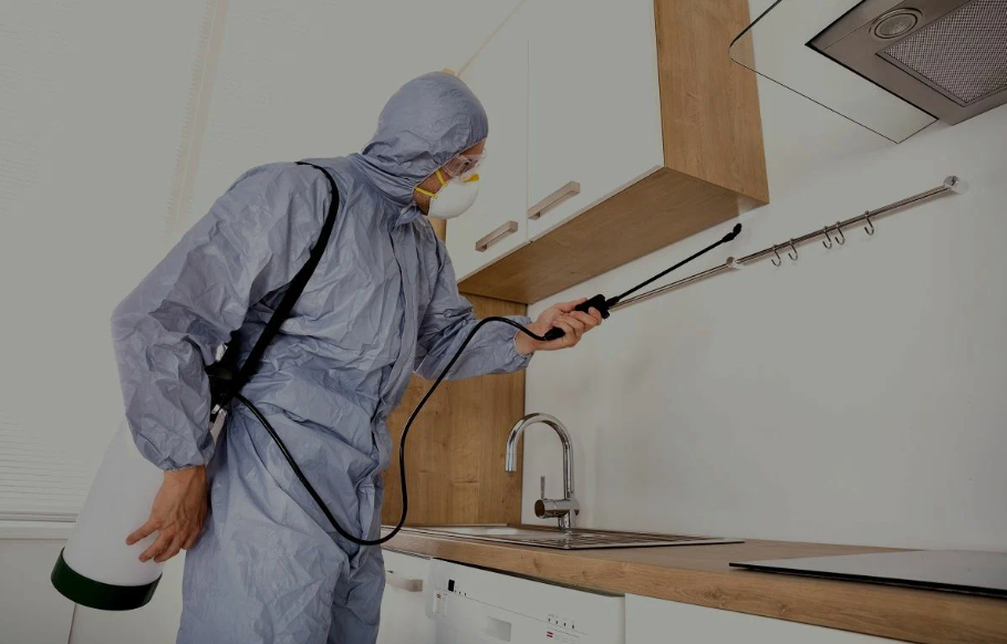 Seal Beach pest managment